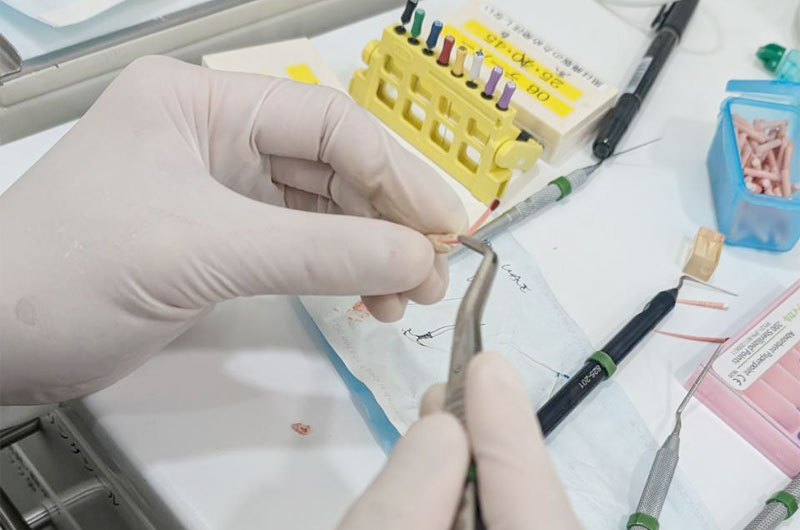 第2回 臨床実技写真03