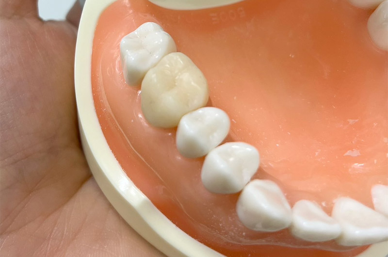 第3回 臨床実技写真03